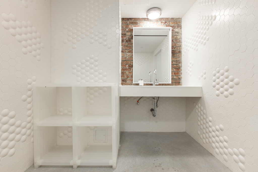 flat and domed hex field tile in white on bathroom wall