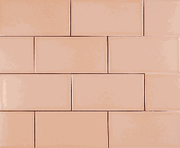 [SCB1GLSO] Tea Rose
