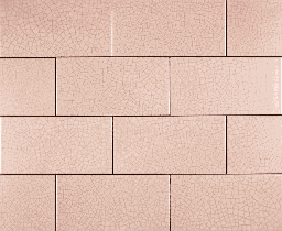 [SCC5GLSA] Crackle Orchid